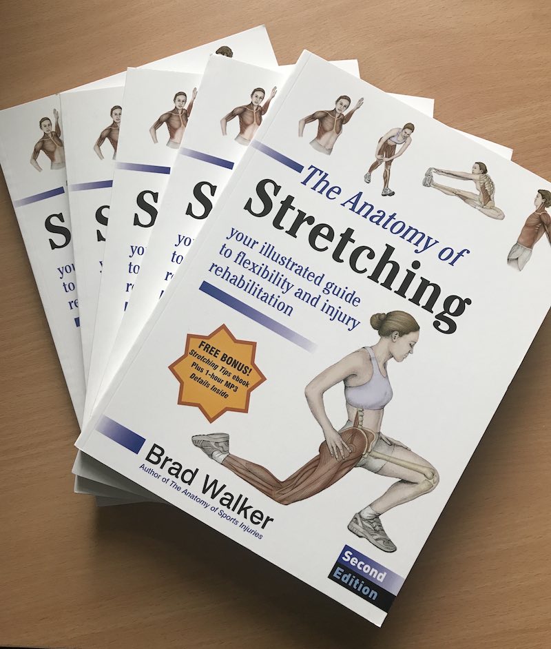 cover of The Anatomy of Stretching
